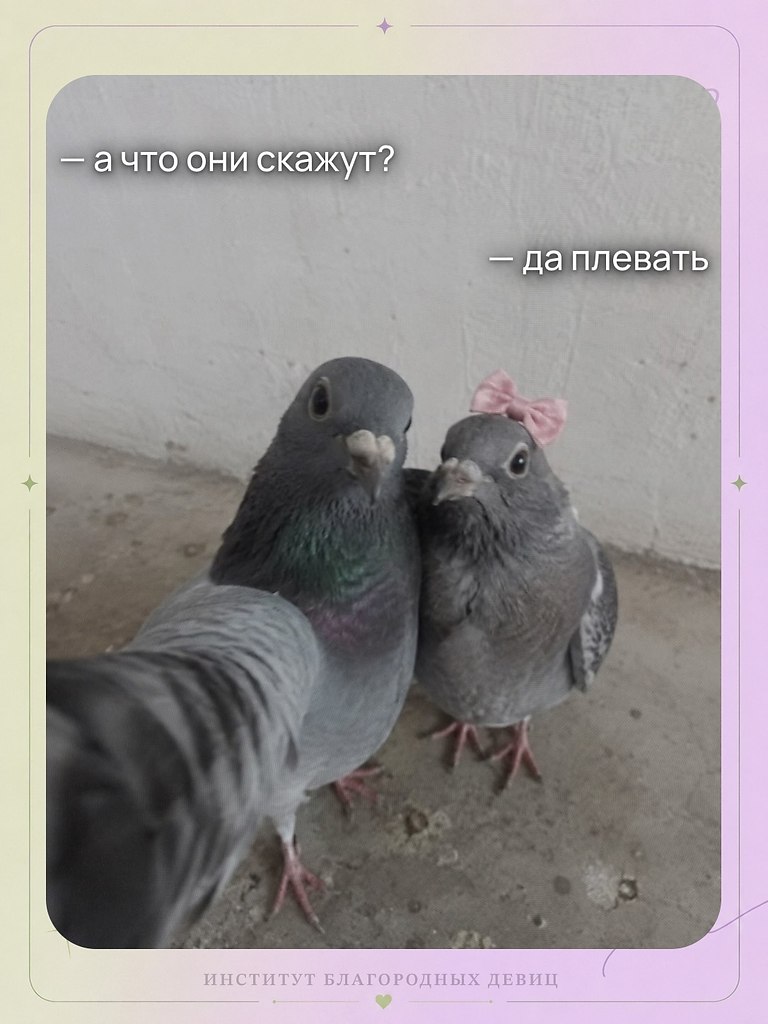 ����� ����� �� ������: - 2
