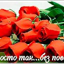 ���� ����, ����, 54 ���� - ��������� 16 ����� 2026 � ������ ���� ����������