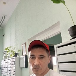 , , 41 
