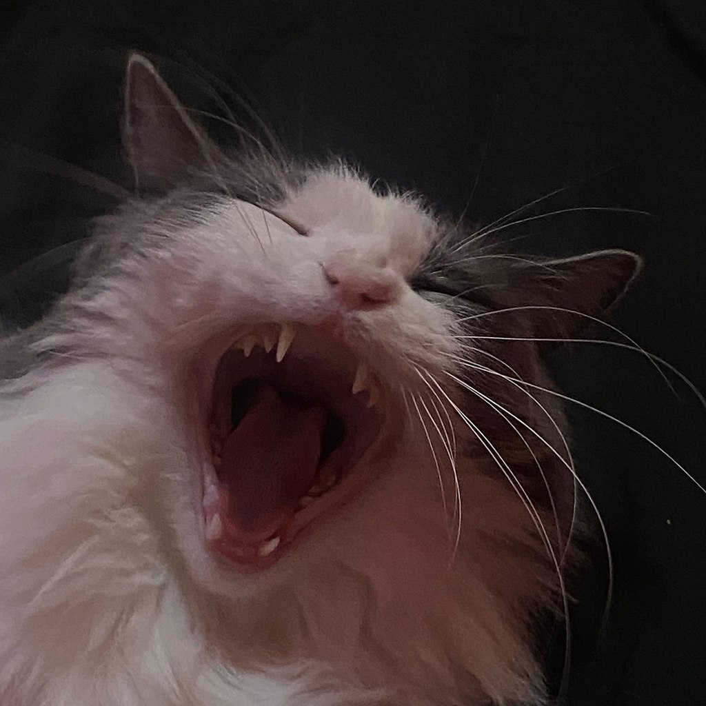 :      - 2