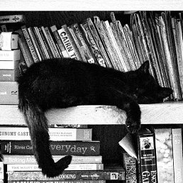 ���� Hello, ������, 39 ��� - ��������� 25 ����� 2024