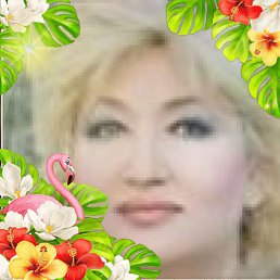 �����, ������, 66 ���