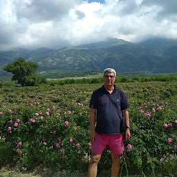 Cremen, �����, 67 ���