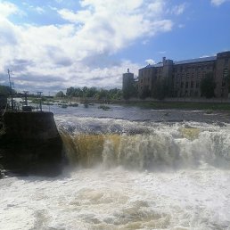 ���� ���������, ����-���, 61 ��� - ��������� 24 ������ 2024