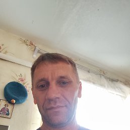 , 50, 