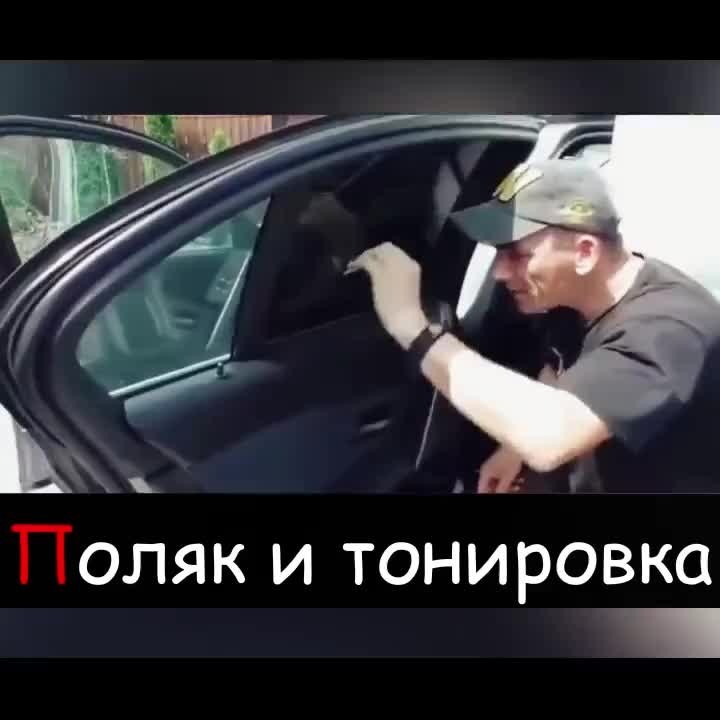 ����� ������ ��������� ������