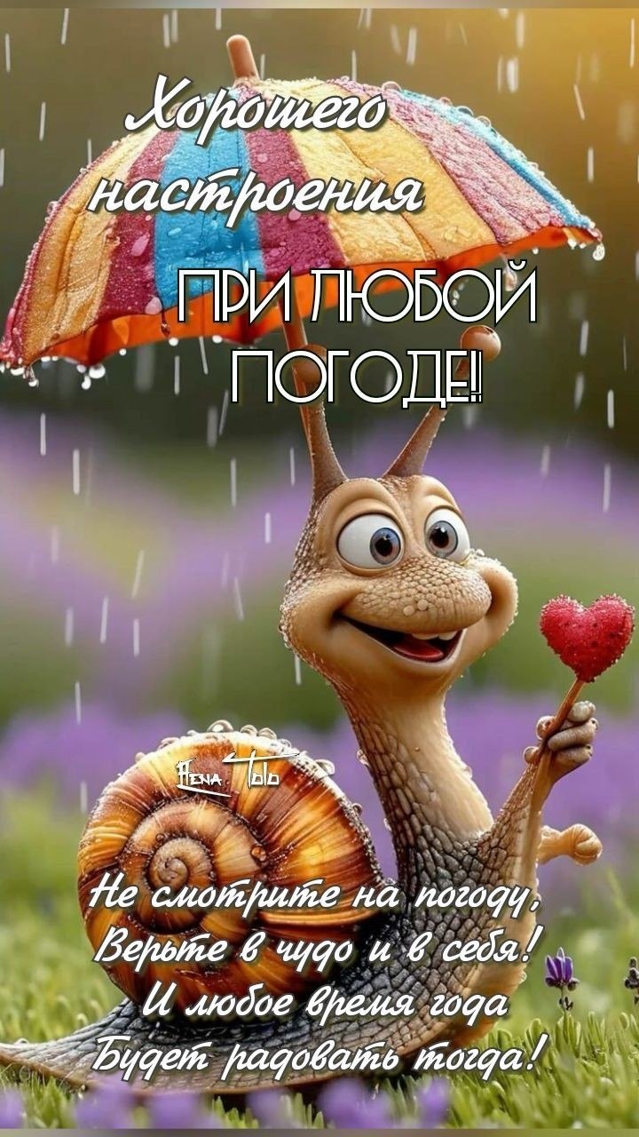***Victoria Viktorovna*** - 25  2025  02:33