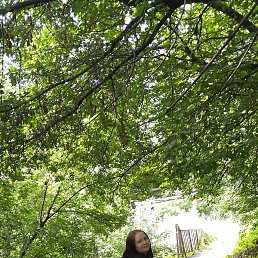 ����, ��������, 31 ���