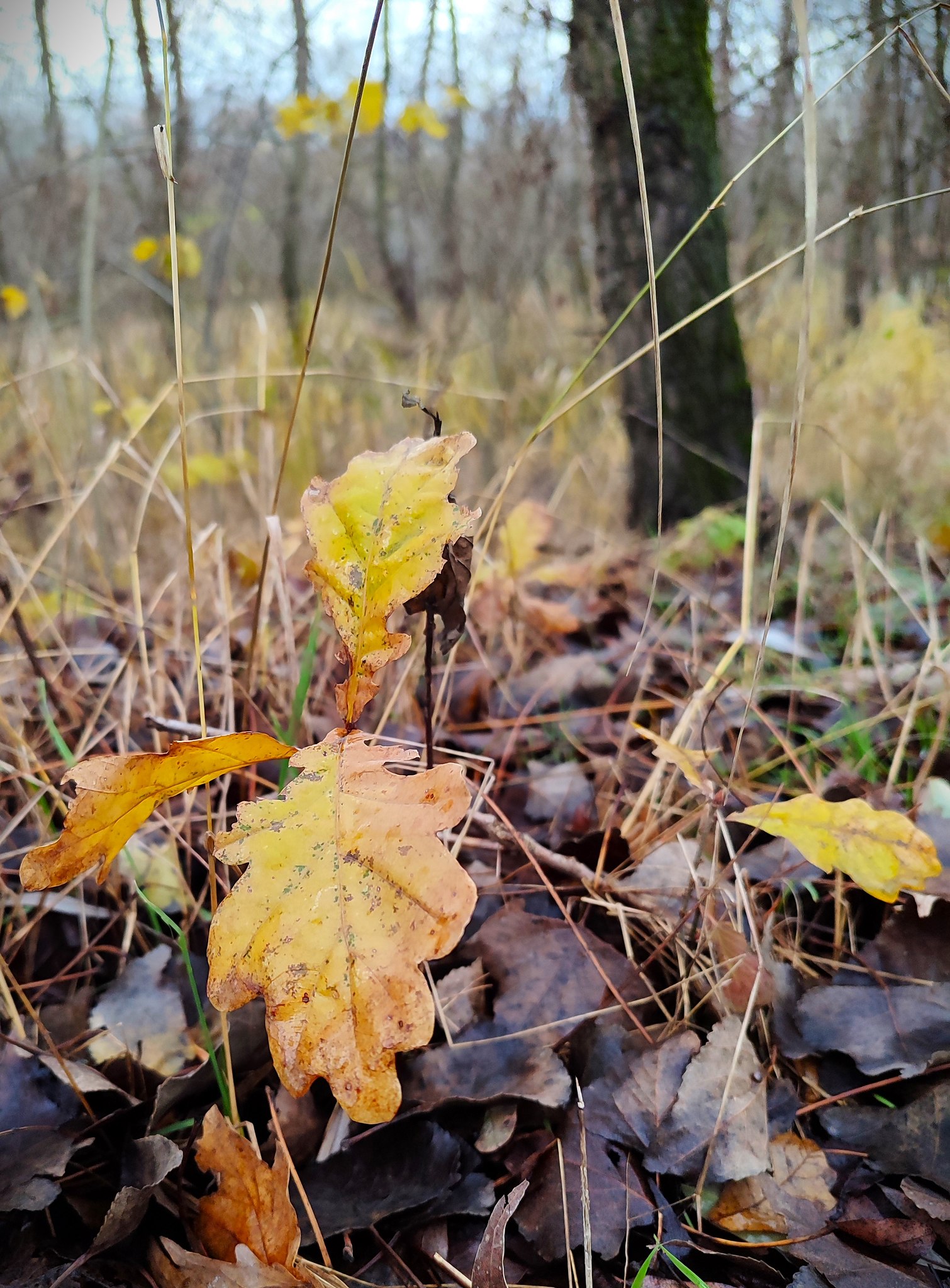 ������ ������ - 27 ������ 2025 � 07:45