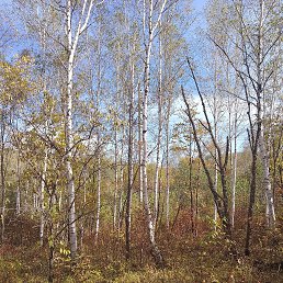 ���� ����, �������������, 38 ��� - ��������� 18 ������ 2023