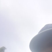 , 51 , 
