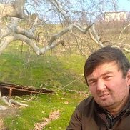 , 35 , 