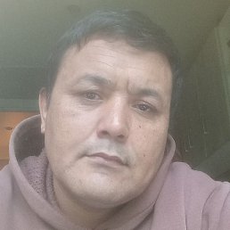 ����, ������, 41 ���