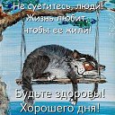 ���� �������, ���� - ��������� 28 ������ 2023