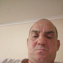 , 41, 