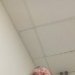, 48 , 