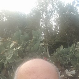 , 60, 