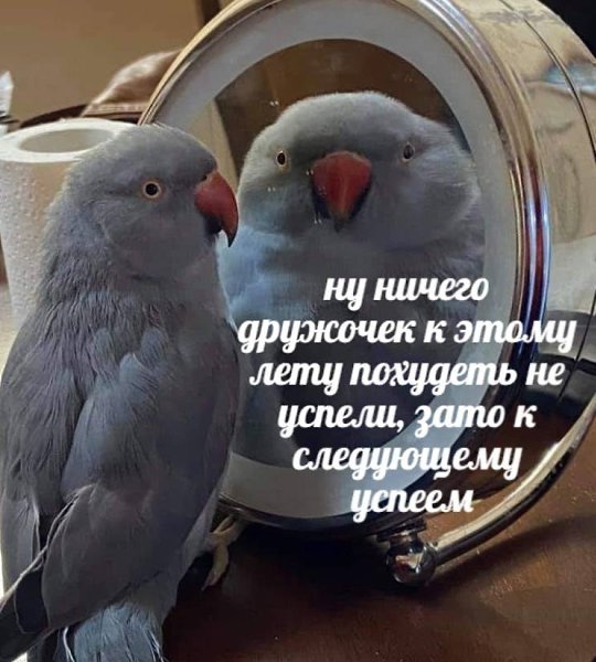    - 3  2024  18:37