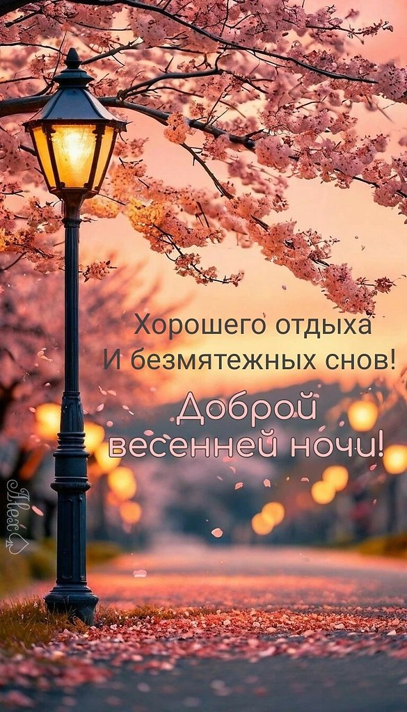   ! - 31  2025  01:33