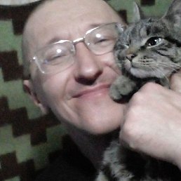 ������� �������, ����������, 49 ���