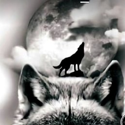 Asir, ������, 47 ���