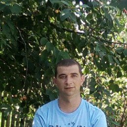 , 41, 