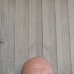 , 38 , 