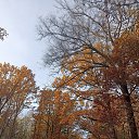���� ����, ������, 49 ��� - ��������� 11 ������ 2023 � ������ ���� ����������