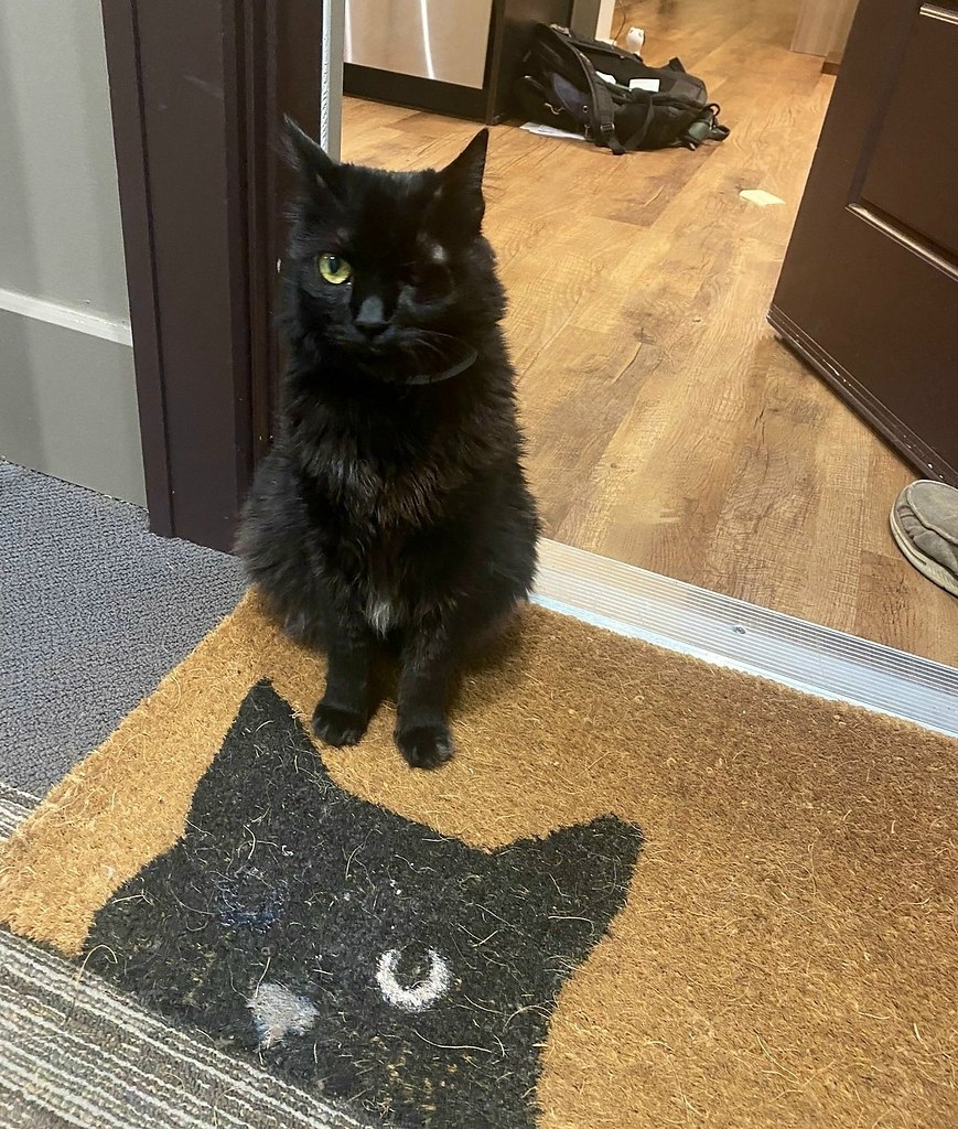 Бывают вещи совершенно грустные и милые одновременно