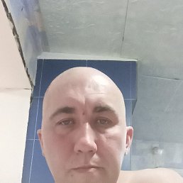 , 41 , 