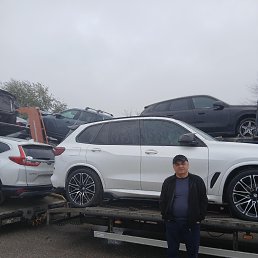 ���� Denizbek, ����, 51 ��� - ��������� 8 �������� 2026