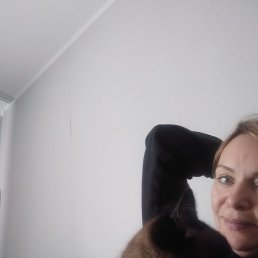 �����, ��������, 52 ����