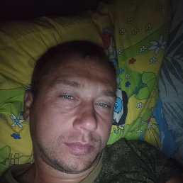, 37, 