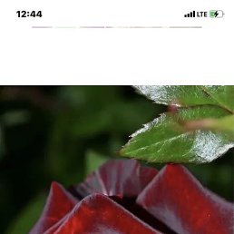 , , 49 