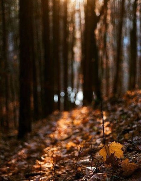 Я больше так не буду. Я буду по-другому.Вставать с постели утром и хлопотать по дому. И даже если ...