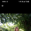 ���� �����, ���������, 54 ���� - ��������� 10 ������� 2025