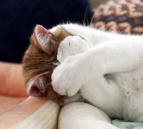 eea e ce,  ,     - ,   !