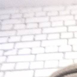 ������, ������, 54 ����