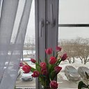 ���� ����, ������ - ��������� 8 ����� 2026 � ������ ������ ��������