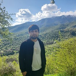   , 33, 