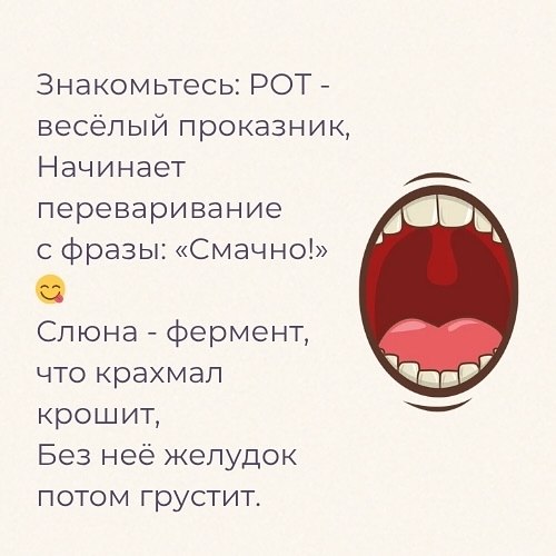 То, что мы едим, и есть мы - 2