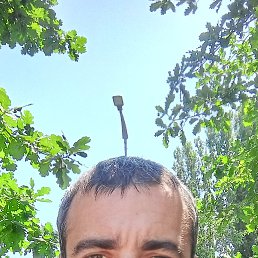 , 37, 