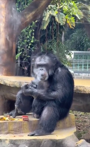 aaa a pee a paoe   ae cop ooapa  ae ooeoo pea ... - 2