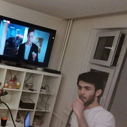 , 33, 