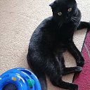 ���� �������, �������� - ��������� 17 ������ 2025 � ������ ������ ��������