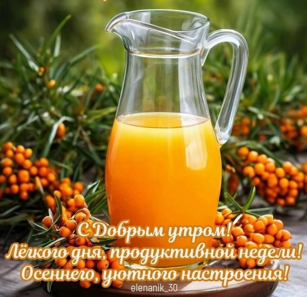   ,    . - 15  2024  22:10