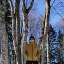 ���� �������, ����, 51 ��� - ��������� 20 ����� 2026