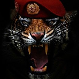 ���� ����, �����-���������, 35 ��� - ��������� 25 ������ 2024