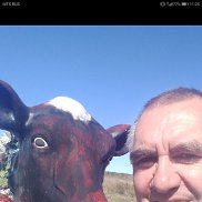 , 57 , -