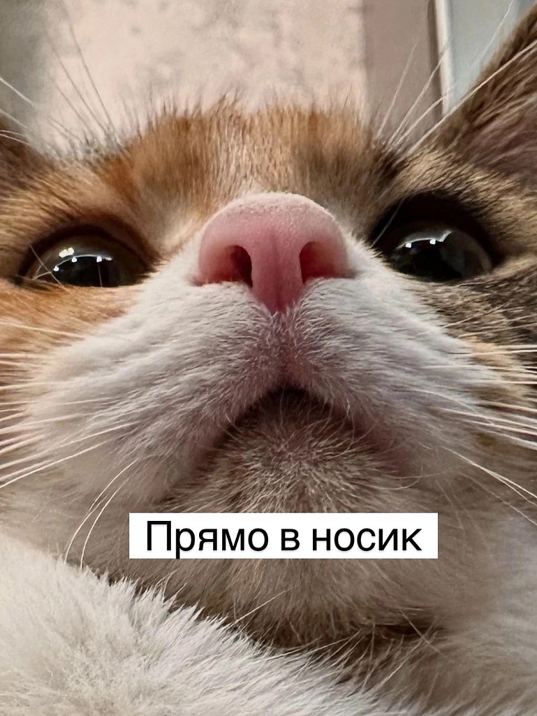 = - 5